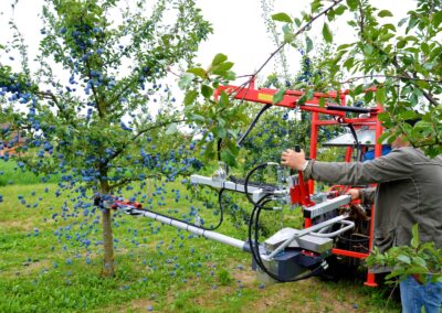 Stammschüttler PESTKA von JAGODA JPS Agromachines zur Ernte von Steinobst wie Kirschen, Pflaumen, Walnüssen, Mandeln und Oliven.